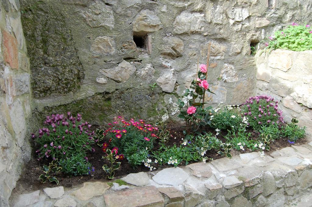 Emily House 호텔 Montecerboli 외부 사진